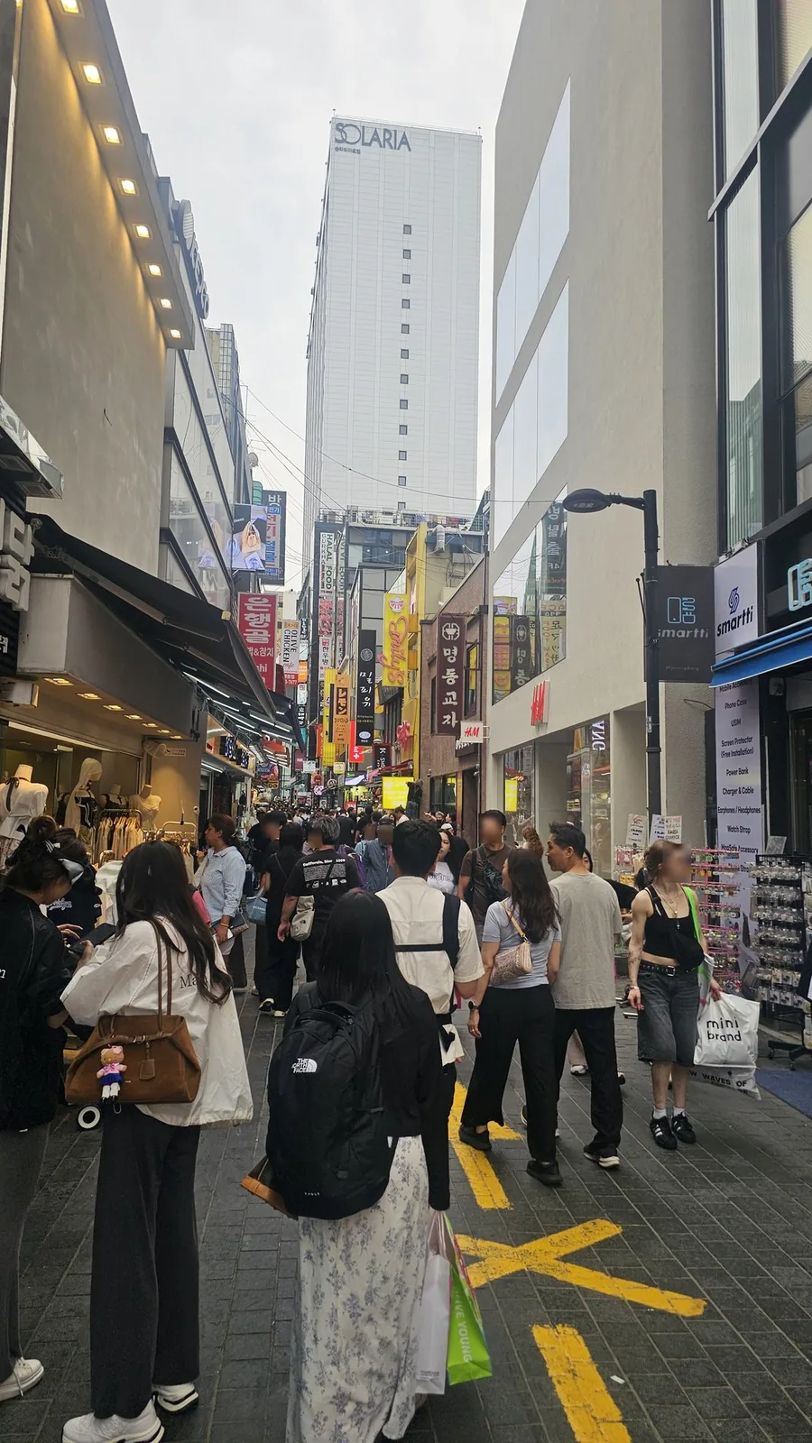 Myeongdong Gyoja in Myeongdong: Honest Kalguksu Review